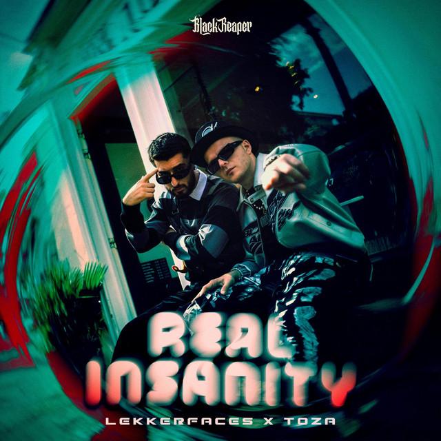 REAL INSANITY
