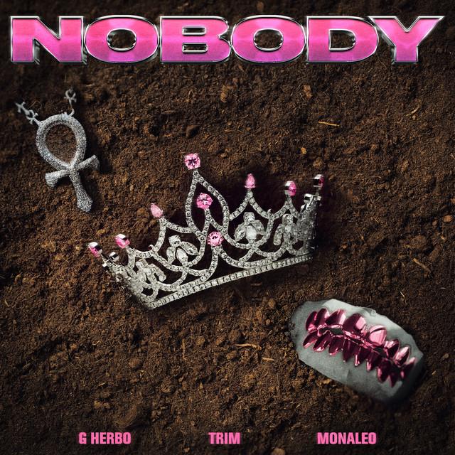 Nobody (feat. Monaleo & G Herbo) - Remix