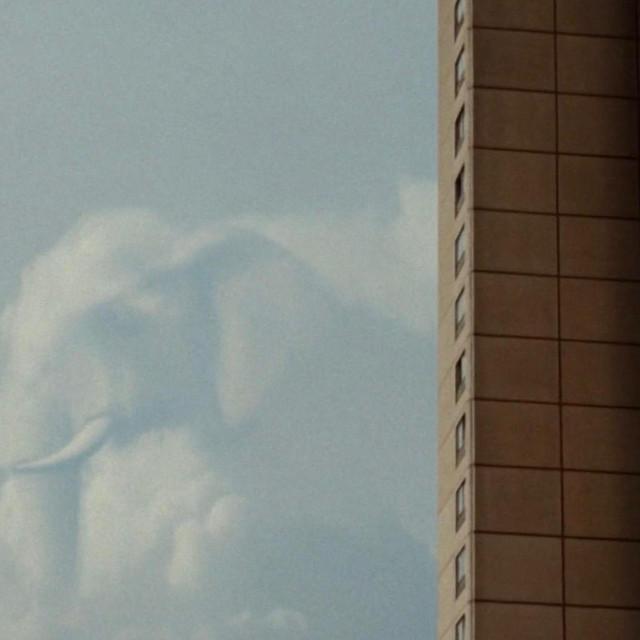 Elefant im Raum